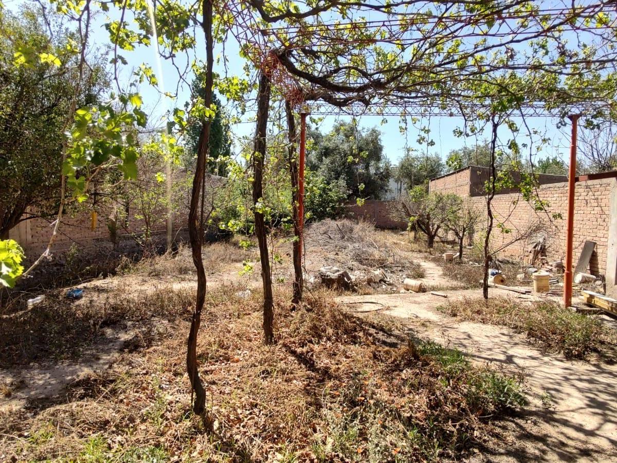 Galpón en Venta - Guaymallen 5
