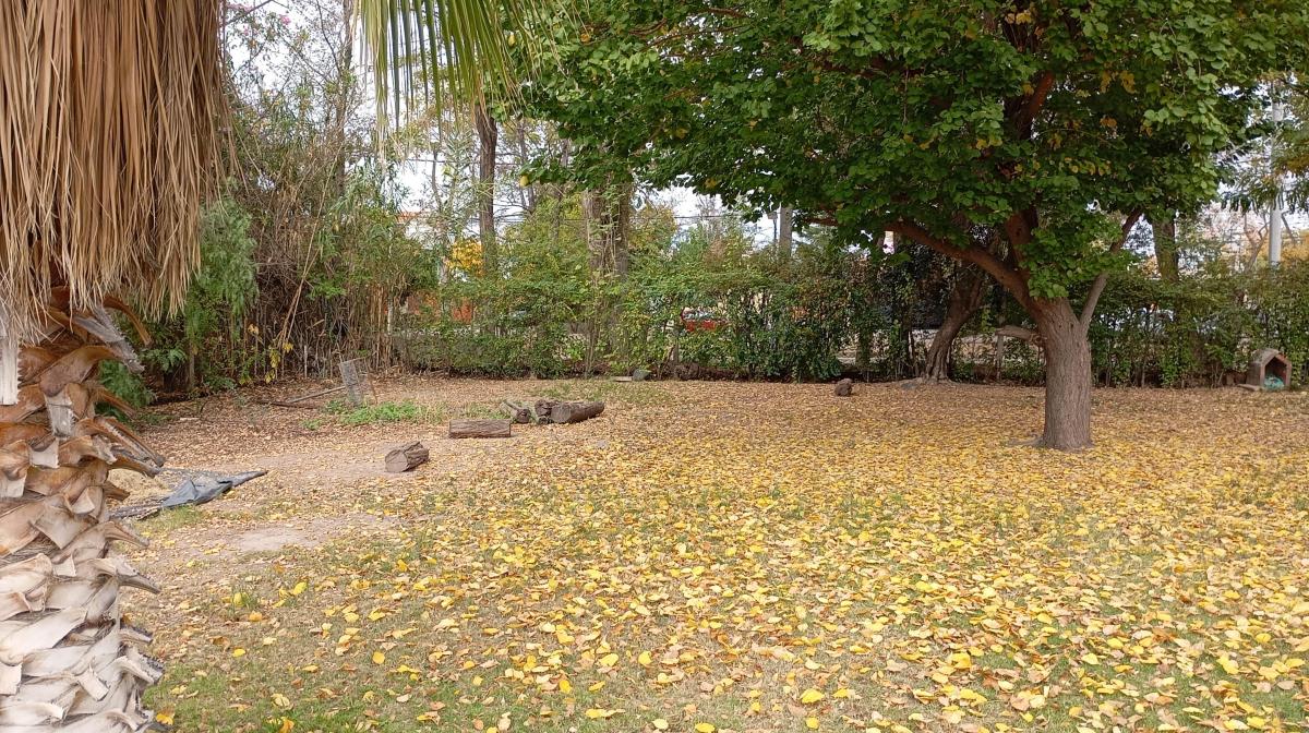 Terreno 3000 m² Sobre Calle Carrodilla, Godoy Cruz 4
