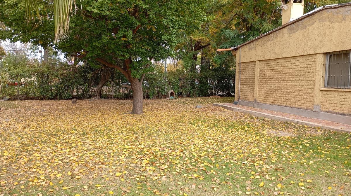 Terreno 3000 m² Sobre Calle Carrodilla, Godoy Cruz 3