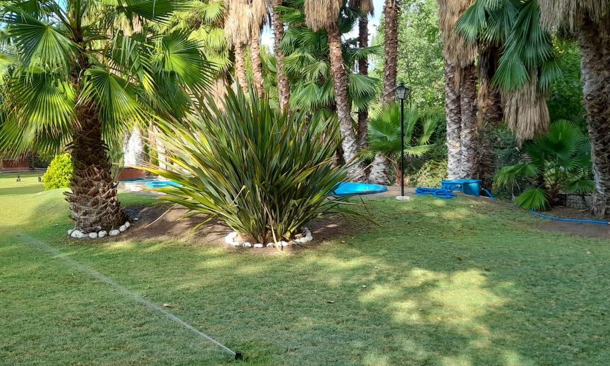 Casa con Piscina en Rodeo del Medio, Maipu Mendoza 4