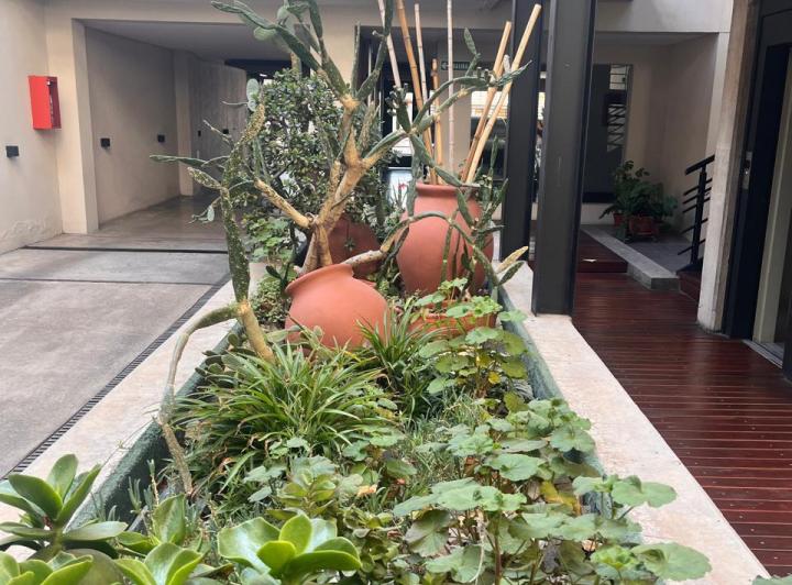 Departamento de categoría en Quinta Sección Mendoza 4