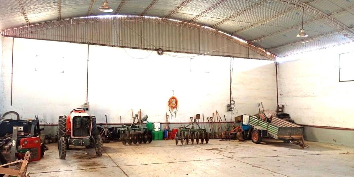 Foto de Venta Finca 20 Has viñedos Junín Ideal Enoturismo, imagen 3