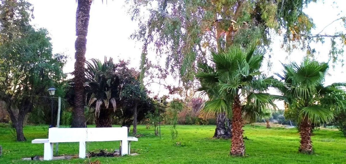 Venta Finca 20 Has viñedos Junín Ideal Enoturismo 2