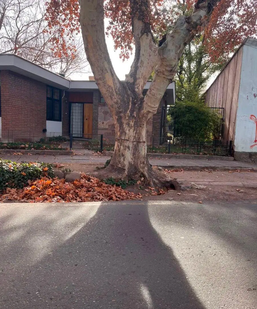 Oficinas en alquiler en pleno Chacras De Coria 3