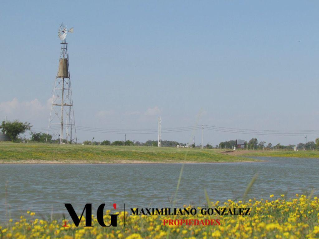 Foto de Lote Venta San Lucas San Vicente, imagen 3
