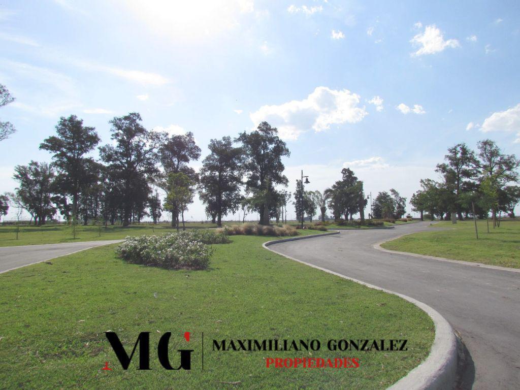 Foto de Lote Venta San Lucas San Vicente, imagen 5