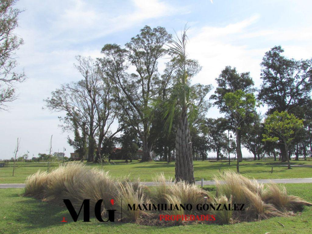 Foto de Lote Venta San Lucas San Vicente, imagen 4