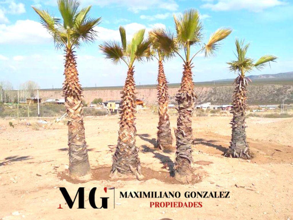Lote en Venta Cacheuta, Mendoza 1