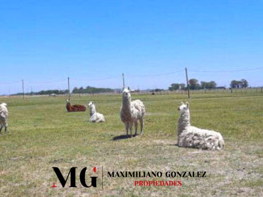 Lote en Barrio Las Perdices, San Vicente Perimetral