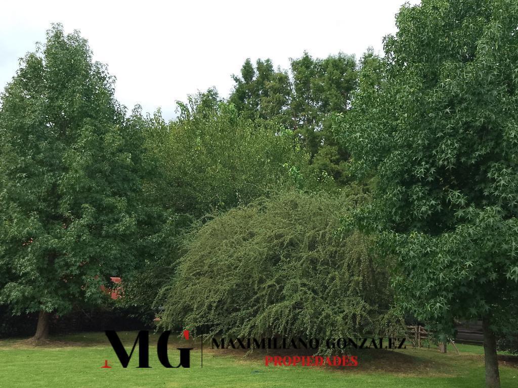 Lote venta El Lauquen