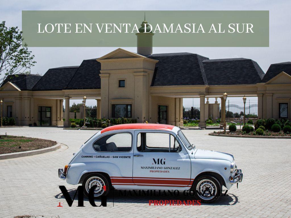 Foto de Lote venta Damasia al Sur, imagen 3