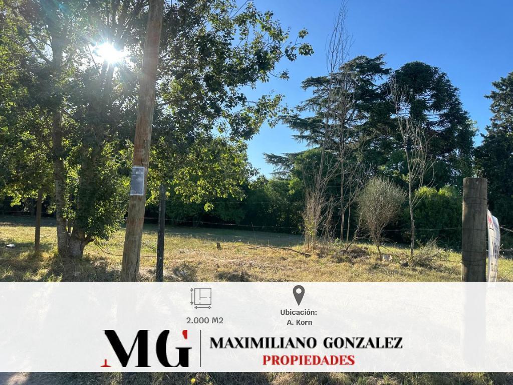 Foto de Lote en venta Alejandro Korn, imagen 1