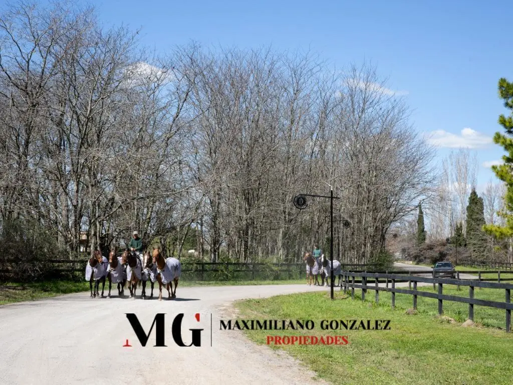 Lote sector Sendero venta - La Dolfina, Cañuelas 4