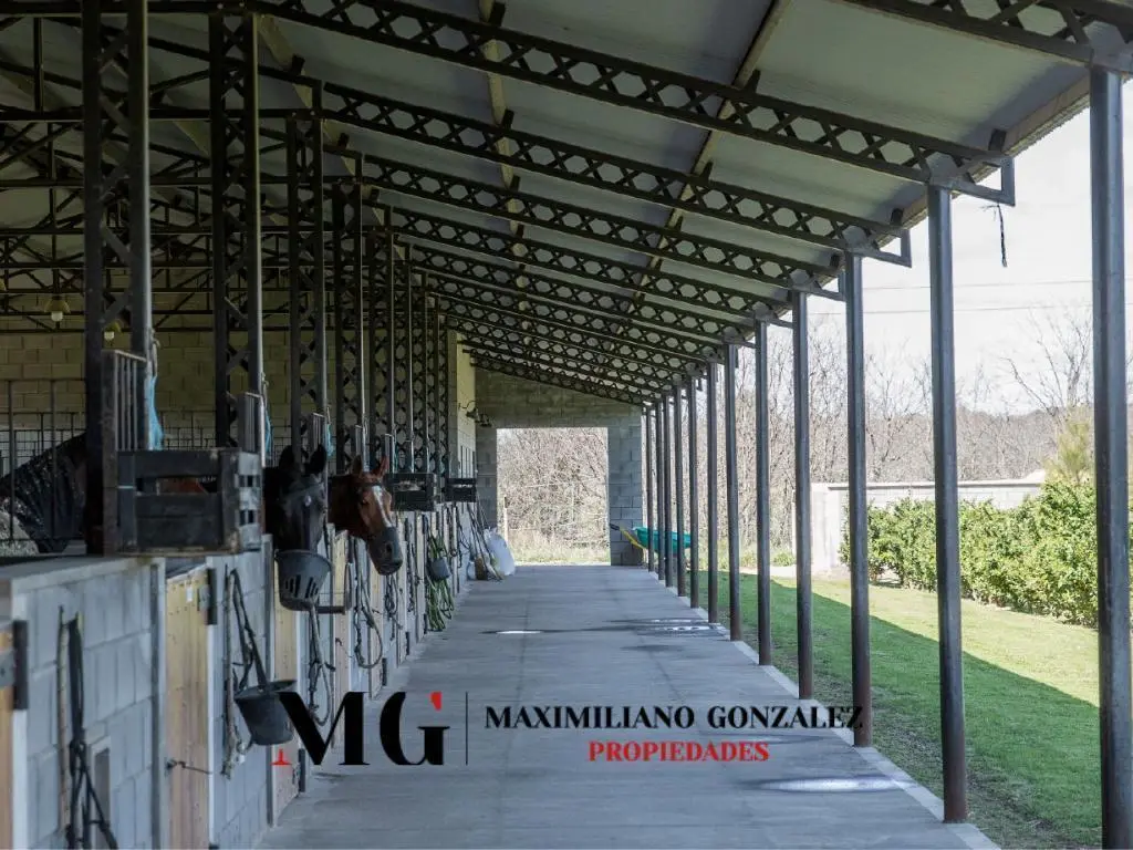 Lote sector Sendero venta - La Dolfina, Cañuelas 3