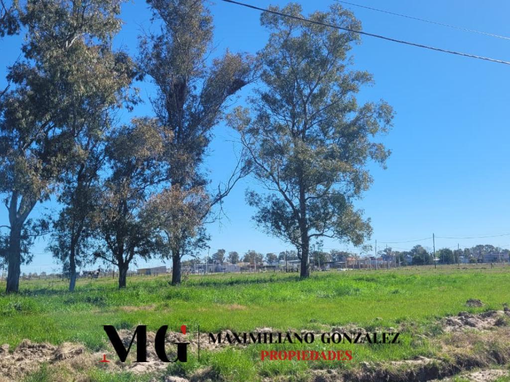 Foto de Lote venta Las Perdices 2, imagen 2