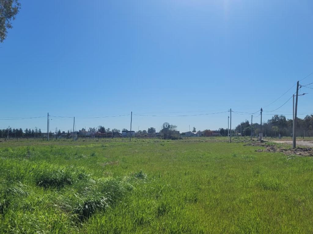 Foto de Lote venta Las Perdices 2, imagen 5