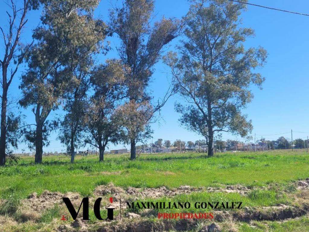 Foto de Lote venta Las Perdices 2, imagen 1