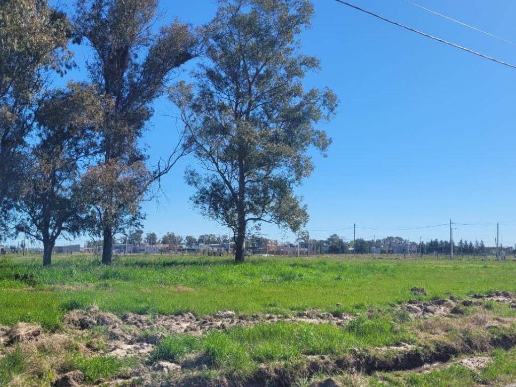Foto de Lote venta Las Perdices 2, imagen 4