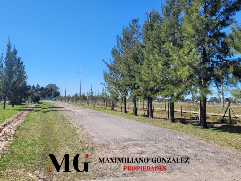Foto de Lote venta Santo Domingo, imagen 4