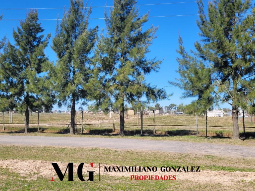 Foto de Lote venta Santo Domingo, imagen 3