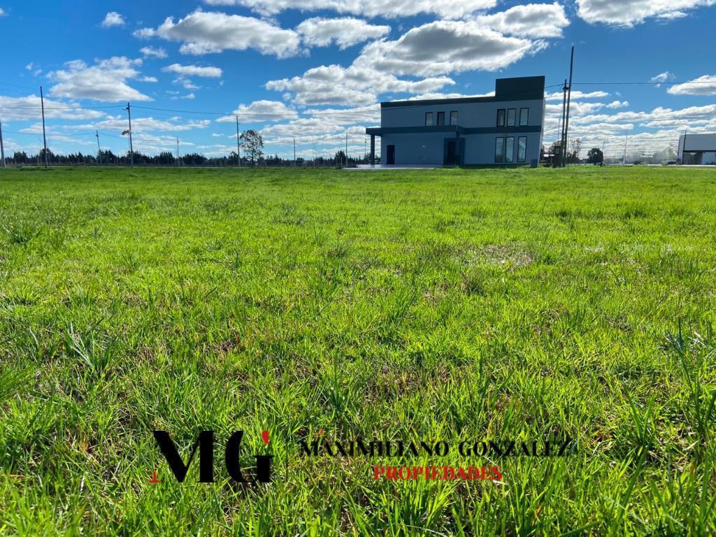 Foto de Lote venta - Fincas Joven, San Vicente, imagen 5