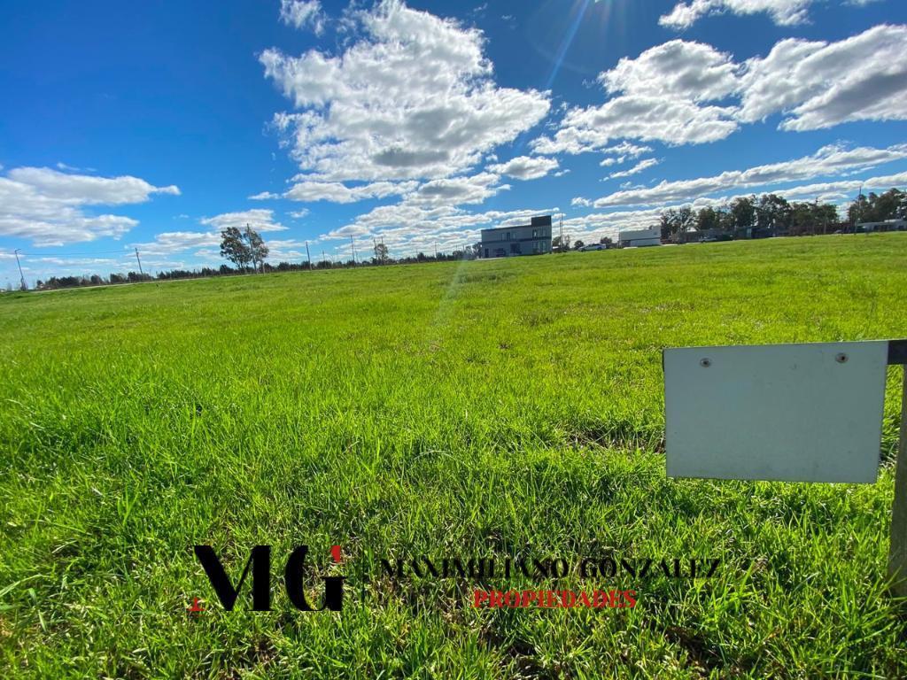 Foto de Lote venta - Fincas Joven, San Vicente, imagen 2