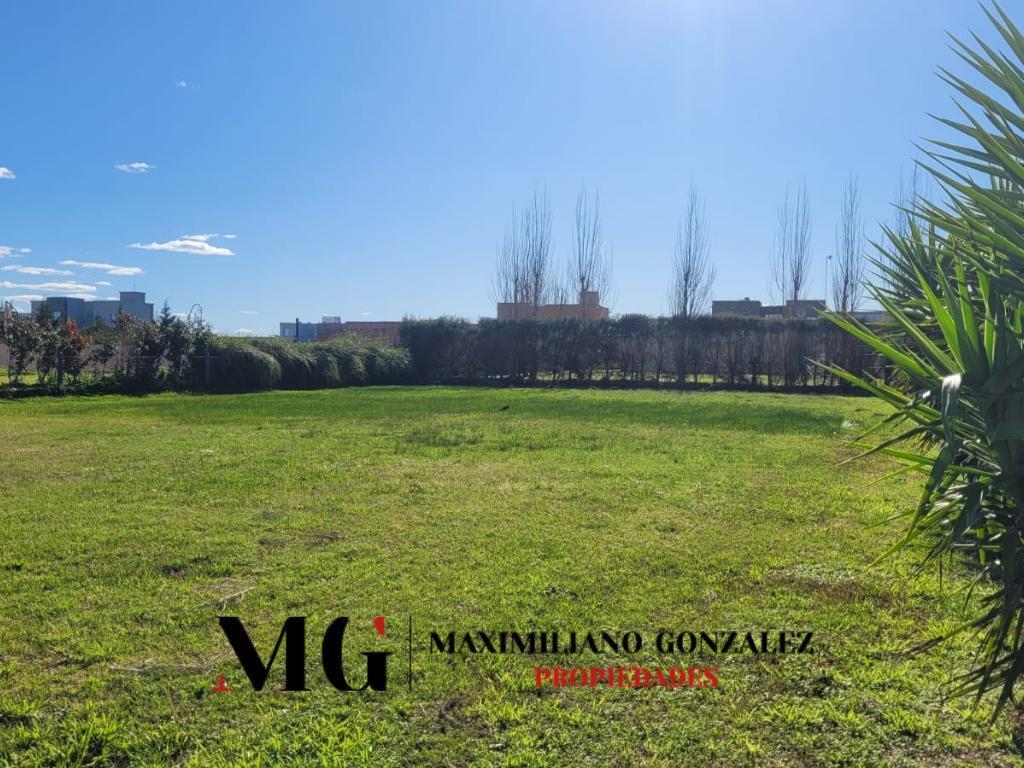 Foto de Lote venta San Lucas San Vicente, imagen 5