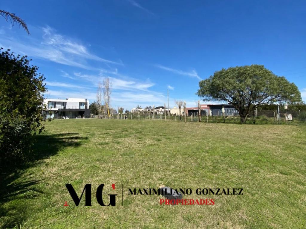 Foto de Lote venta - Santa Rita, imagen 5