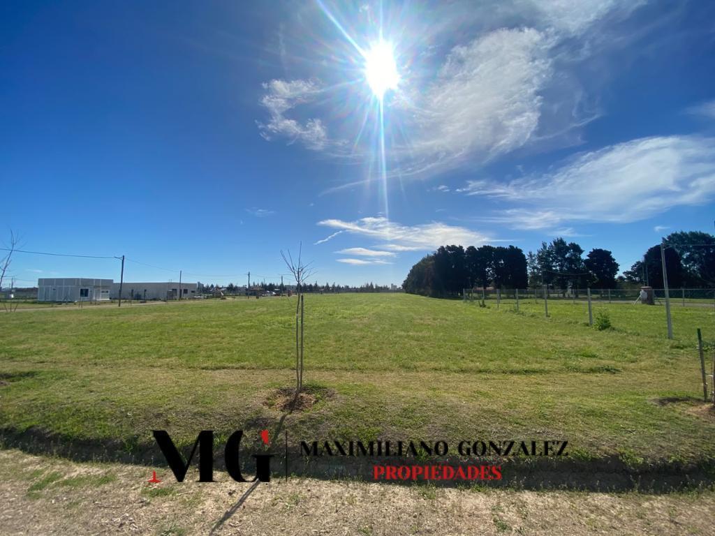 Foto de Lote venta - La Eugenia, Ezeiza, imagen 3