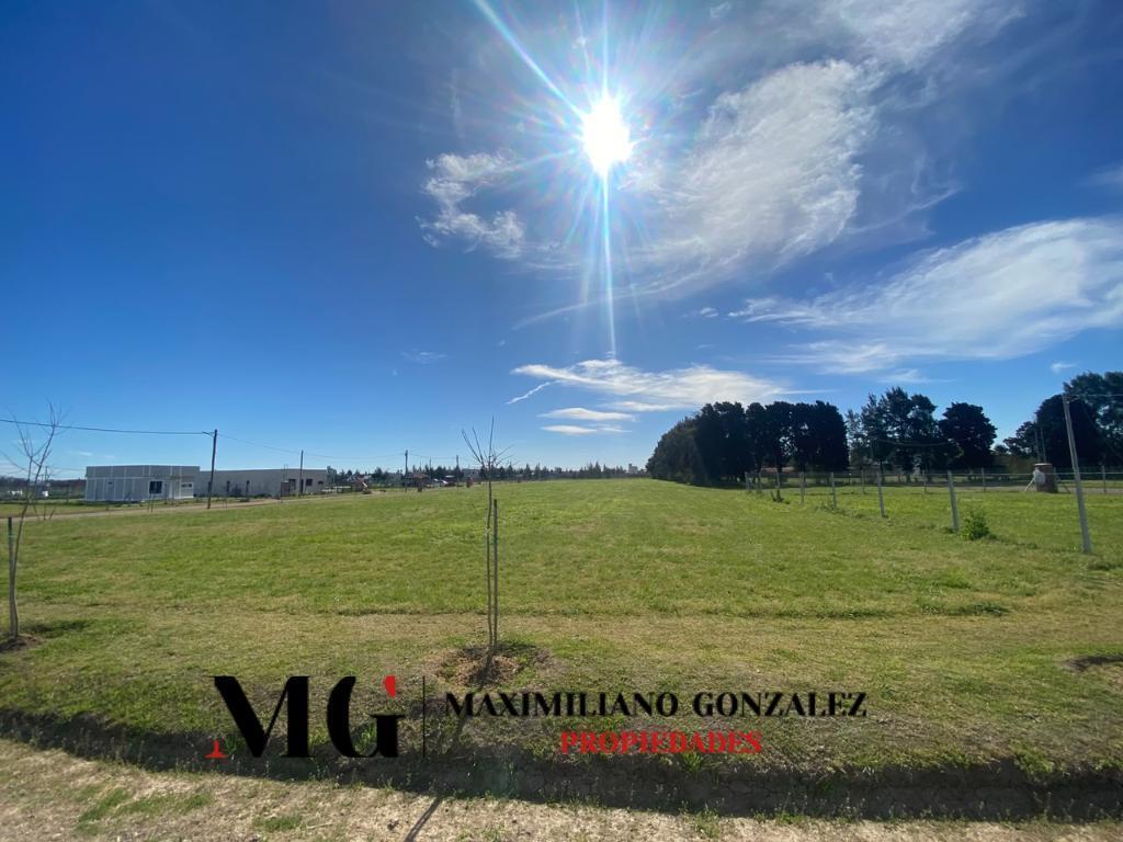Foto de Lote venta - La Eugenia, Ezeiza, imagen 1