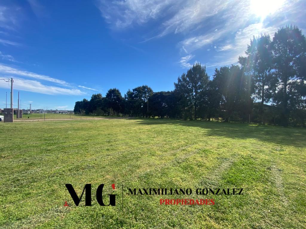 Foto de Lote venta - La Eugenia, Ezeiza, imagen 2