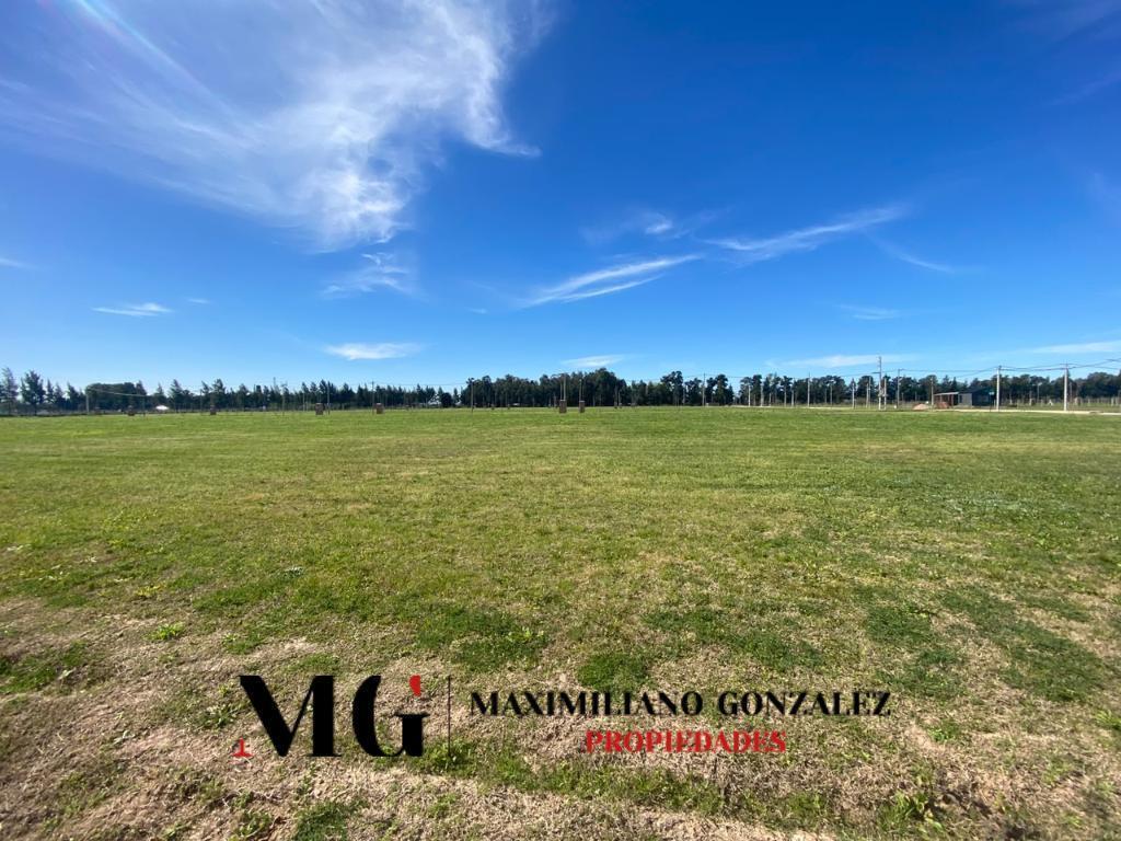 Foto de Lote venta - La Eugenia, Ezeiza, imagen 2