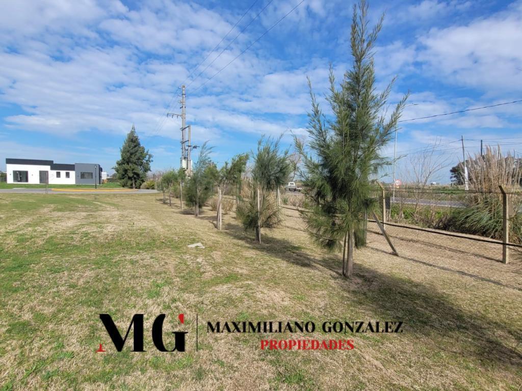 Foto de Lote venta - Santo Domingo, imagen 3