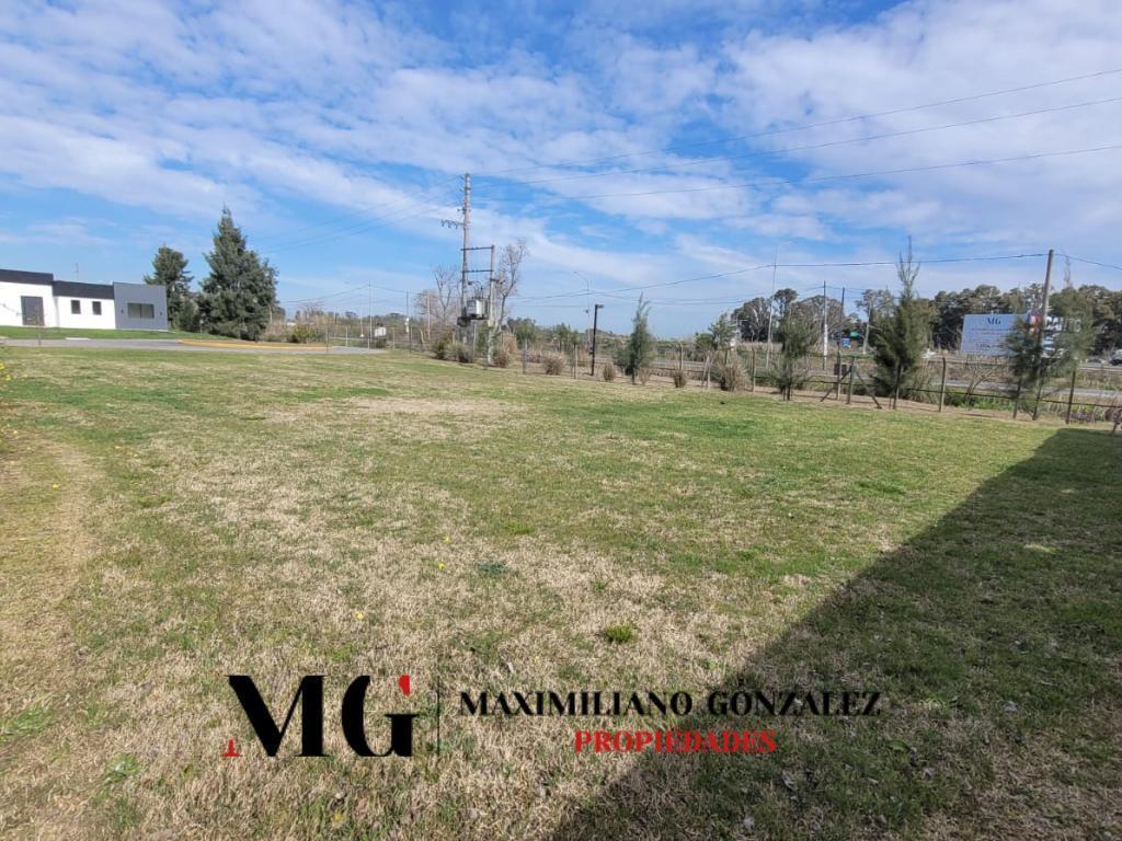 Foto de Lote venta - Santo Domingo, imagen 5