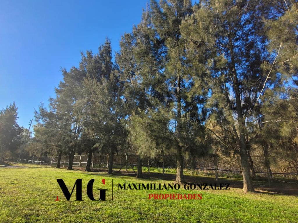 Foto de Lote venta - Santo Domingo, imagen 5