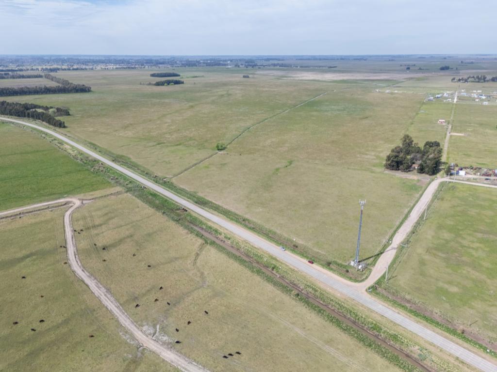 Foto de Hectáreas venta - San Vicente, imagen 5