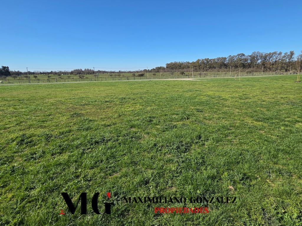 Foto de Lote venta - Estancia Villa Maria, imagen 5