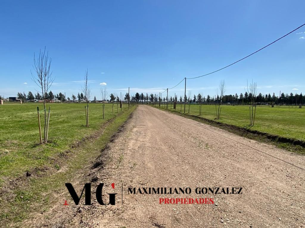 Foto de Lotes en venta - La Eugenia, Carlos Spegazzini, imagen 5