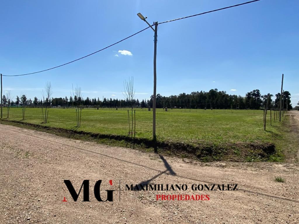 Foto de Lotes en venta - La Eugenia, Carlos Spegazzini, imagen 4