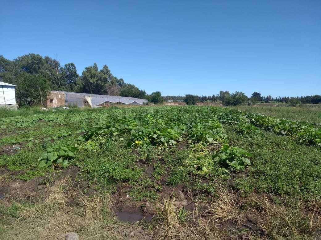 Venta 7 Hectareas en Arana 167 y 602