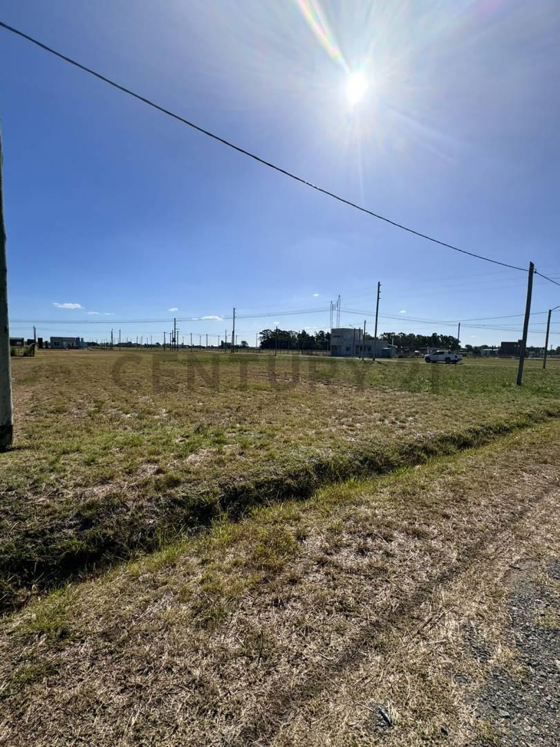 Foto de LOTE EN VENTA BARRIO LAS CALANDRIAS, imagen 5