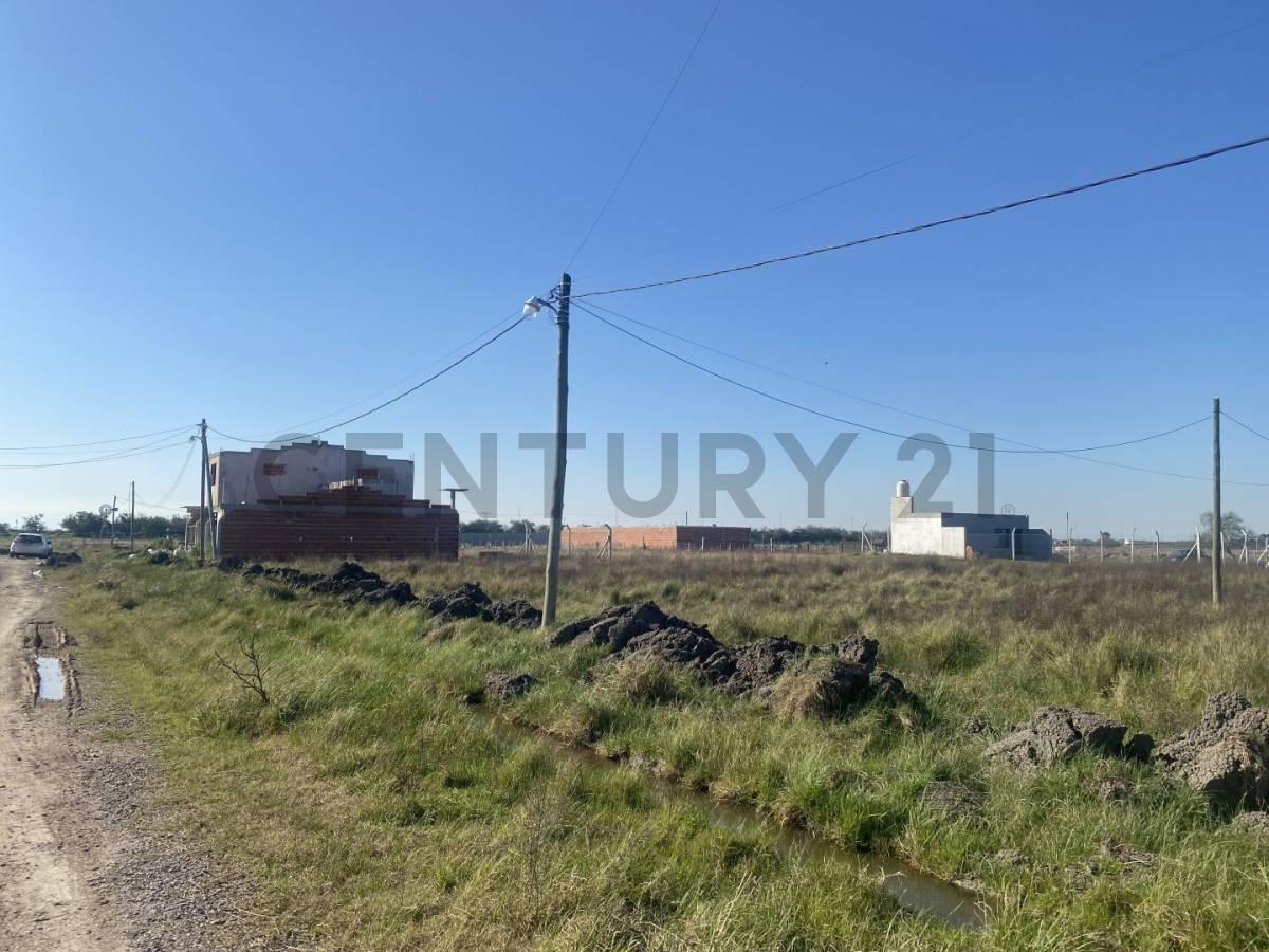Foto de VENTA LOTES CALLE 475 Y 4 CITY BELL, imagen 4