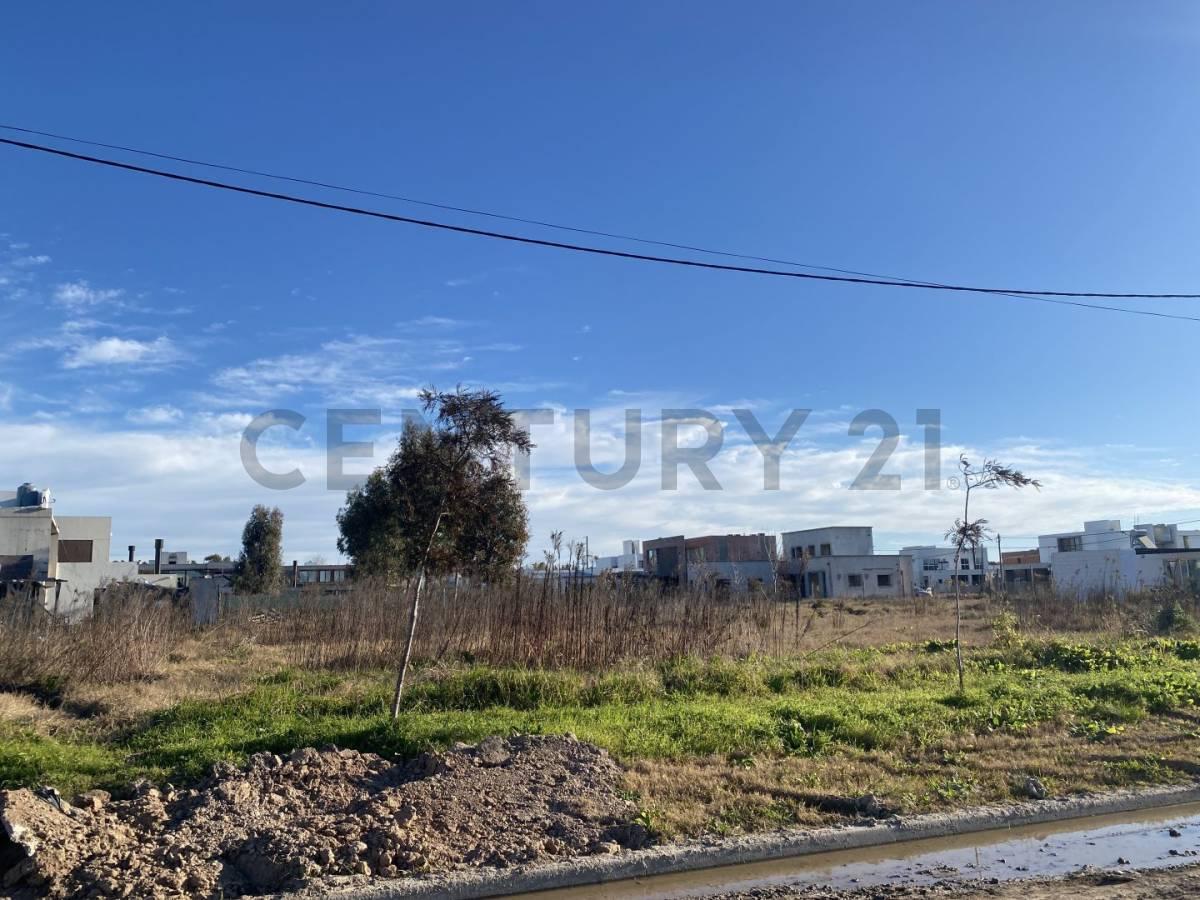 Foto de VENTA LOTES EL QUIMILAR CITY BELL, imagen 2