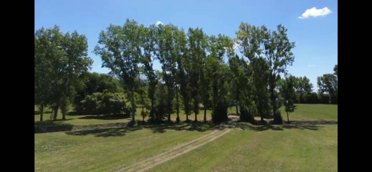 Terreno de 5 Ha en venta - Lisandro Olmos, La Plata. Ubicación: Calle 41 e/ 167 y 169