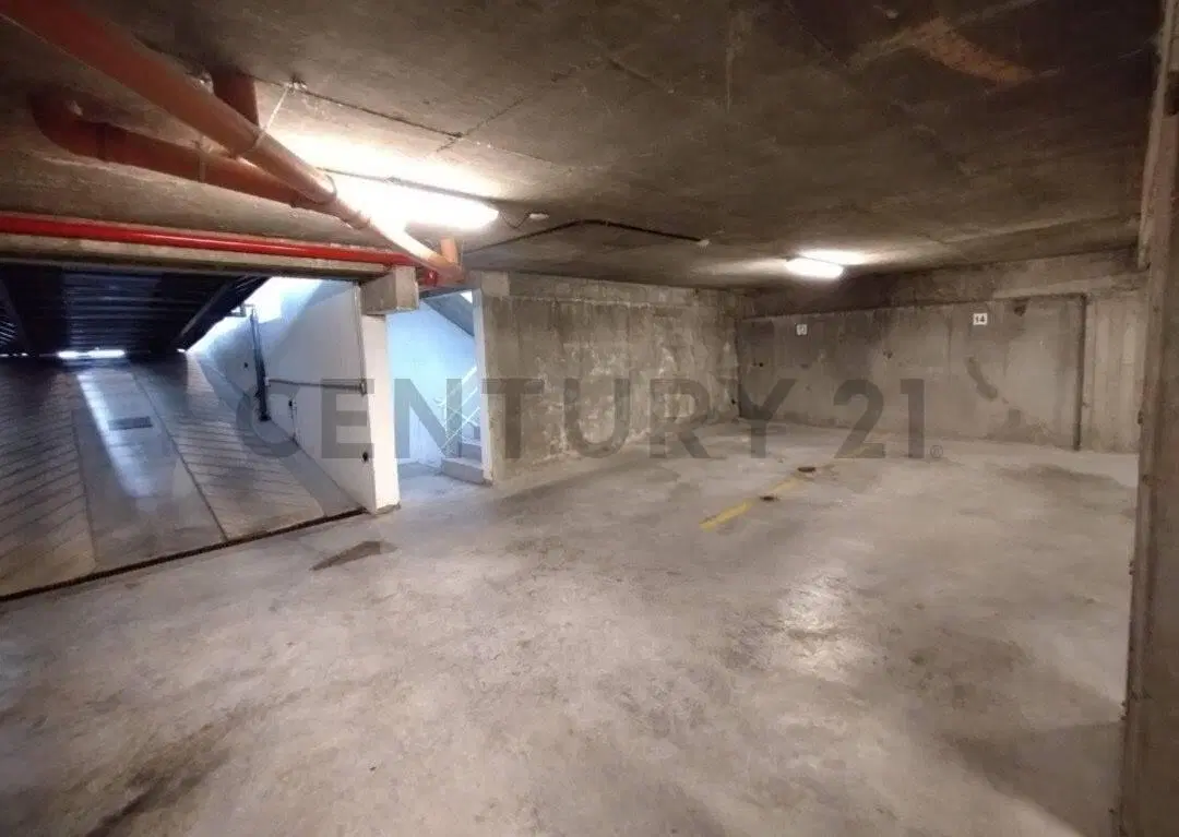 12 entre 42 y 43 - COCHERA CUBIERTA EN VENTA LA PLATA 2