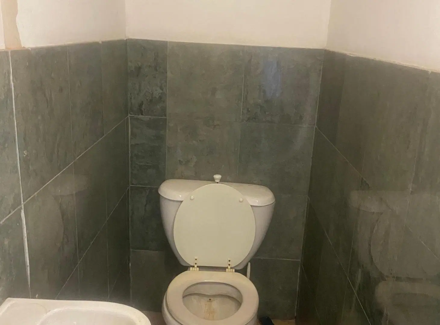 ALQUILER LOCAL COMERCIAL DIAGONAL 73 E/ 27 Y 28 (20 Mts) 4