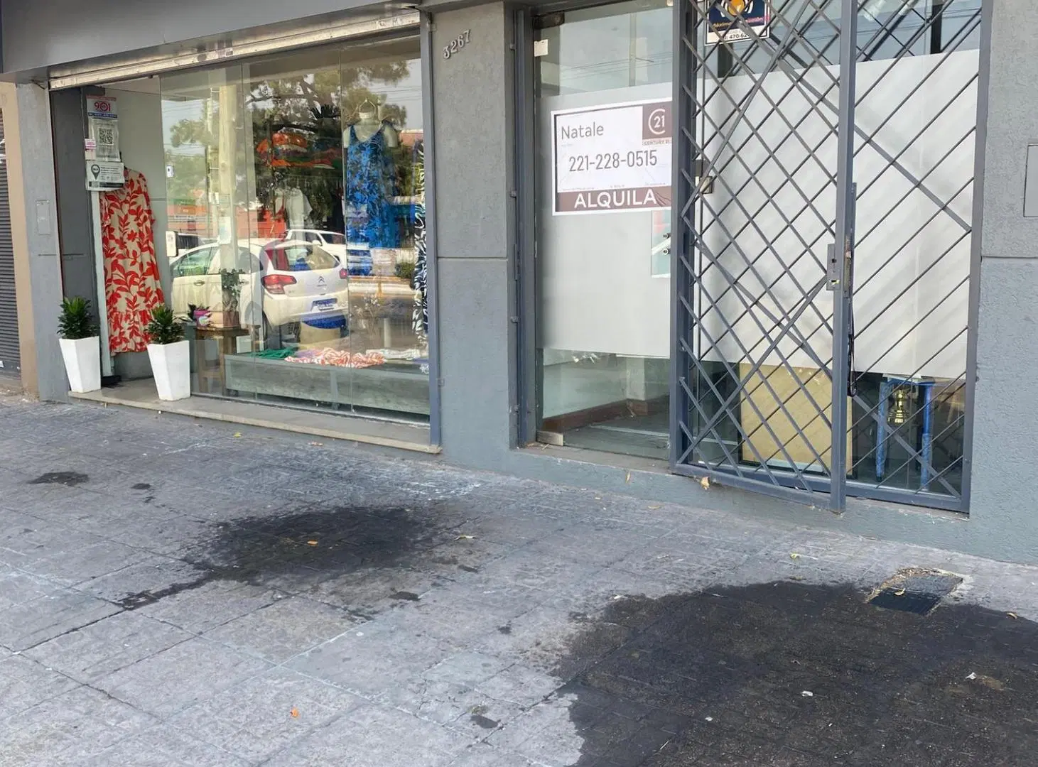 ALQUILER LOCAL COMERCIAL DIAGONAL 73 E/ 27 Y 28 (20 Mts) 3
