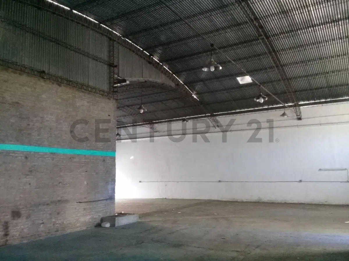 43 y 142 - GALPÓN EN ALQUILER - 300M2 CUBIERTOS 3