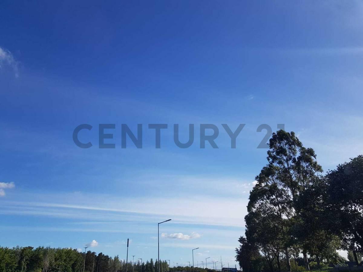 Foto de CAMPO EN VENTA RUTA 2 KM 58, imagen 3