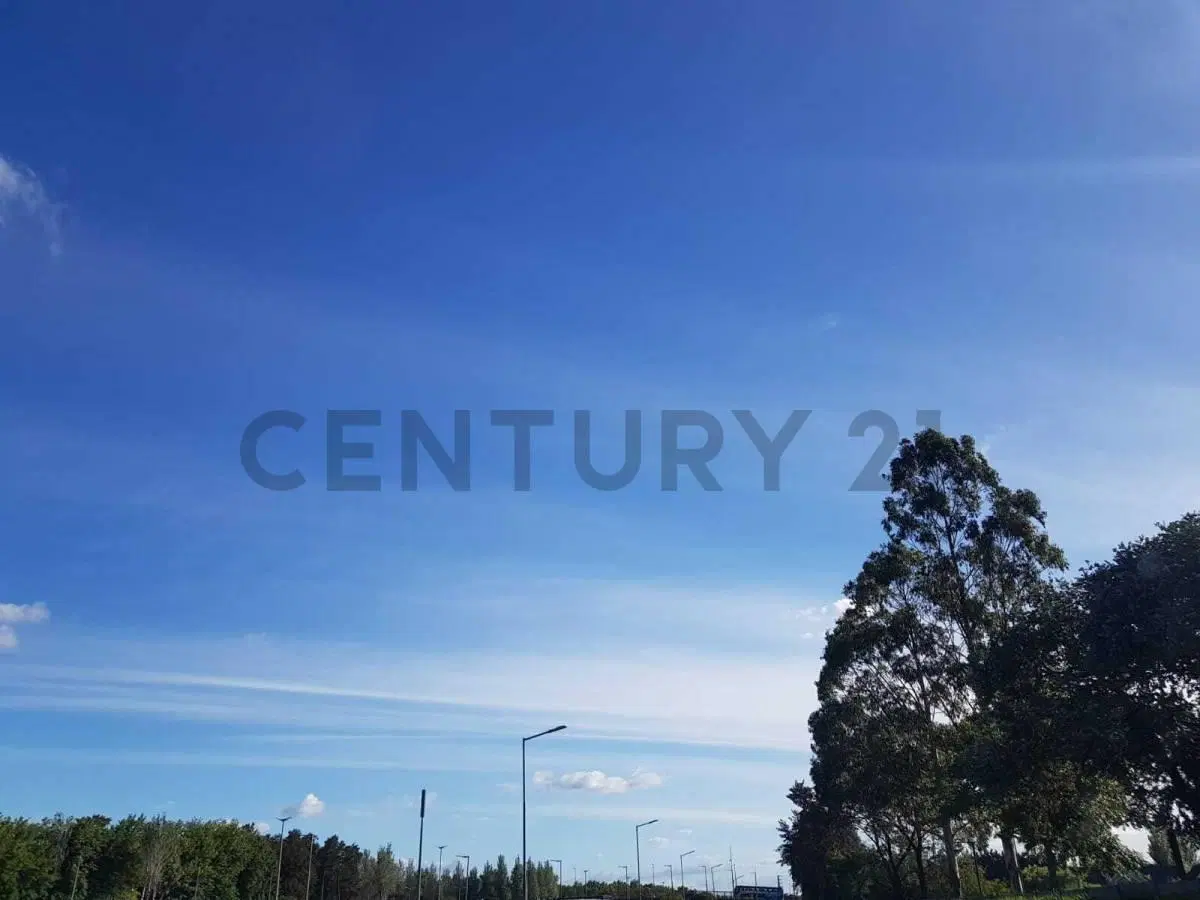 CAMPO EN VENTA  RUTA 2 KM 58 3